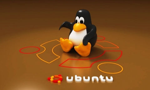 2131510523-2-ubuntu-linux
