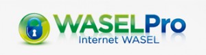 Waselpro-logo