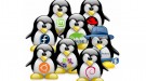 linux-distros-100724403-large